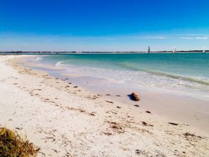 A sandy beach with scattered seaweed, gentle waves, and turquoise water. Sailboats are visible in the distance under a clear blue sky.