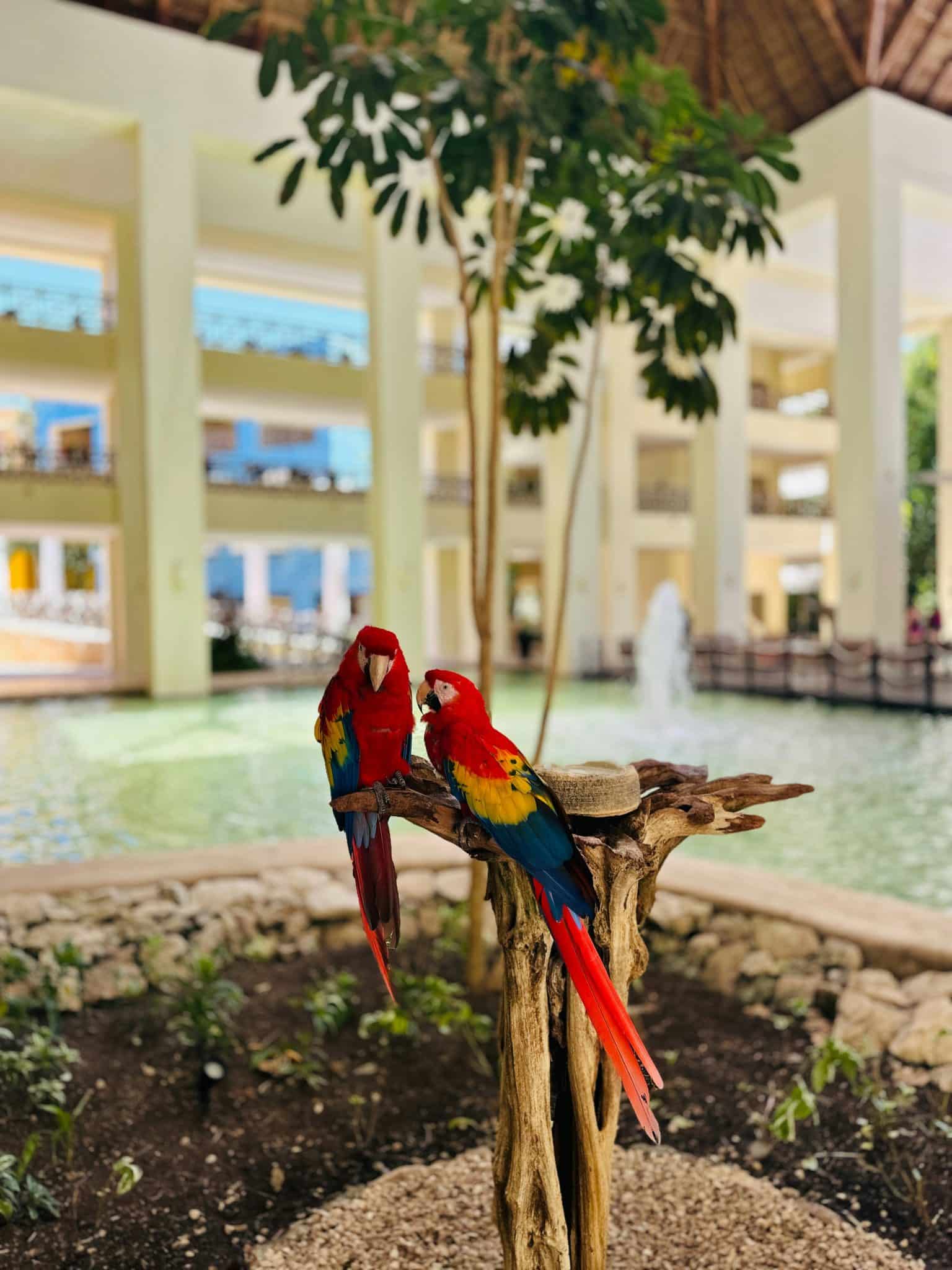 Why All-Inclusive Resorts are Perfect for Spring Break