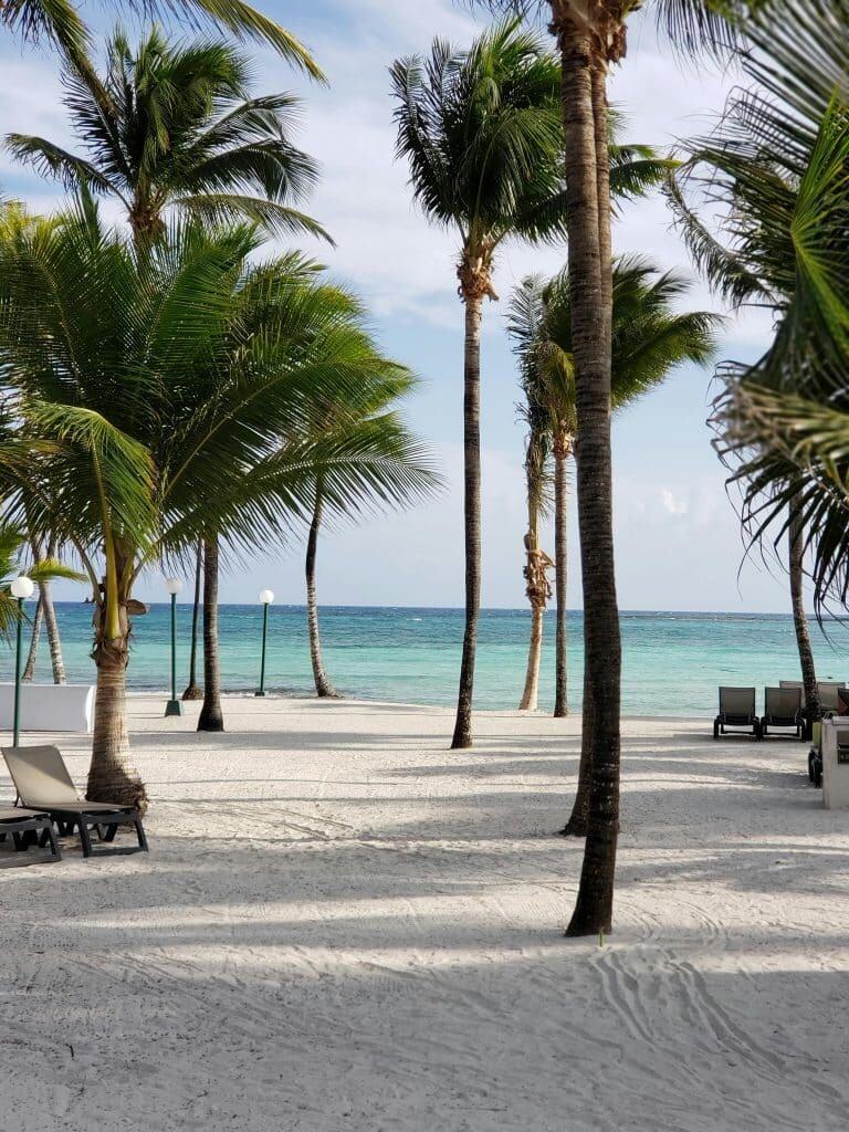 Tall palm trees and lounge chairs on a white sandy beach overlooking clear blue ocean water under a partly cloudy sky.